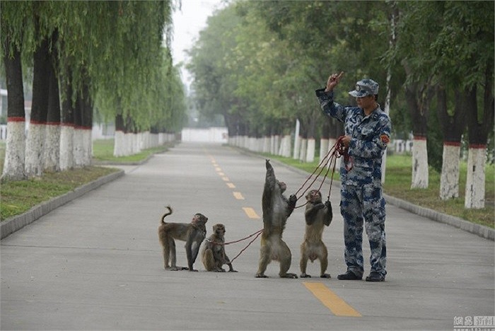 Trung Quóc huán luyẹn cho, khi, dai bang cho duyẹt binh 3/9